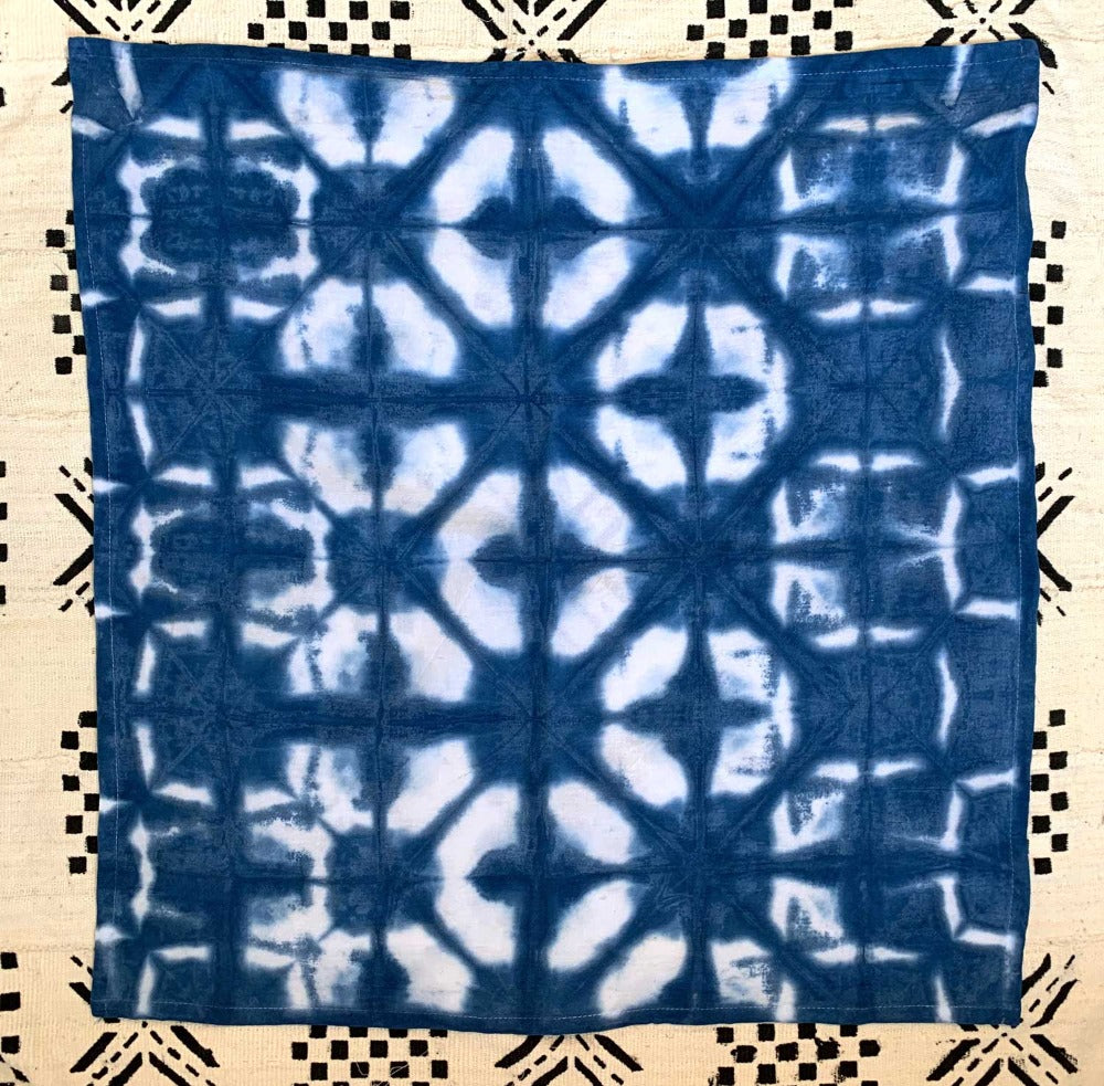 indigo dyeing kit with tea towel